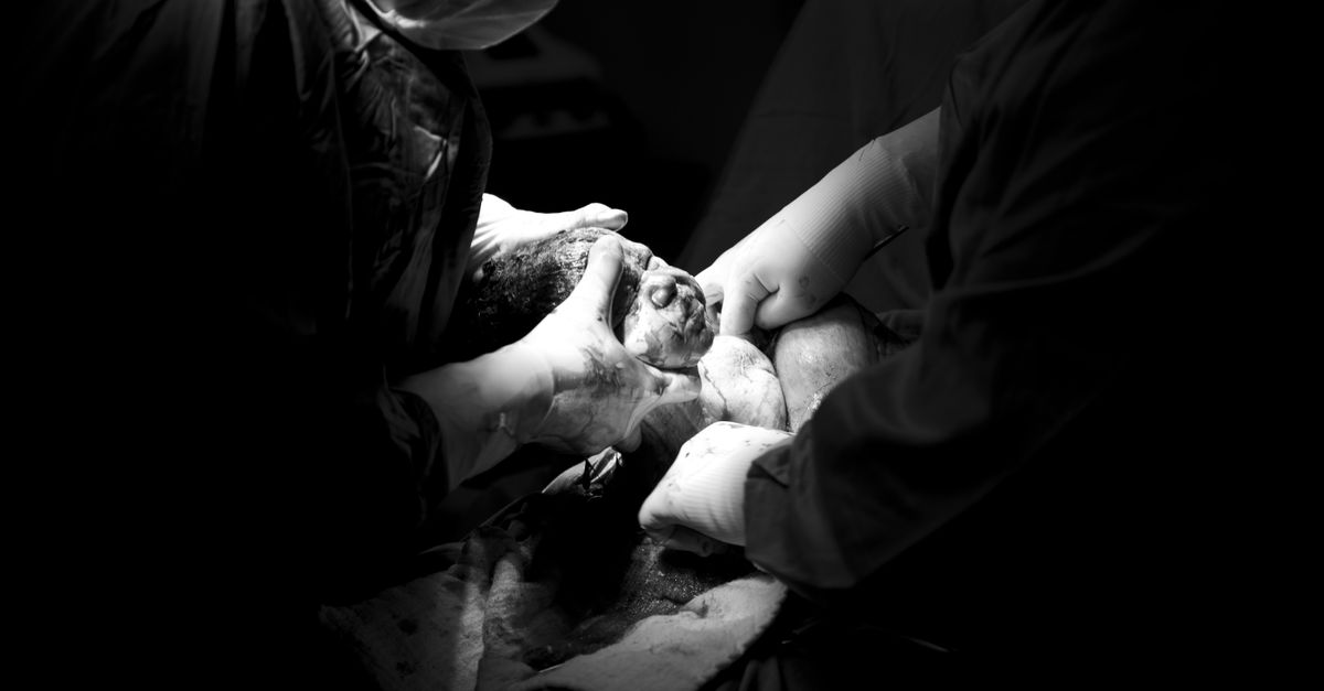 Surrogate Birth Sparks Legal Battle Over Child Custody