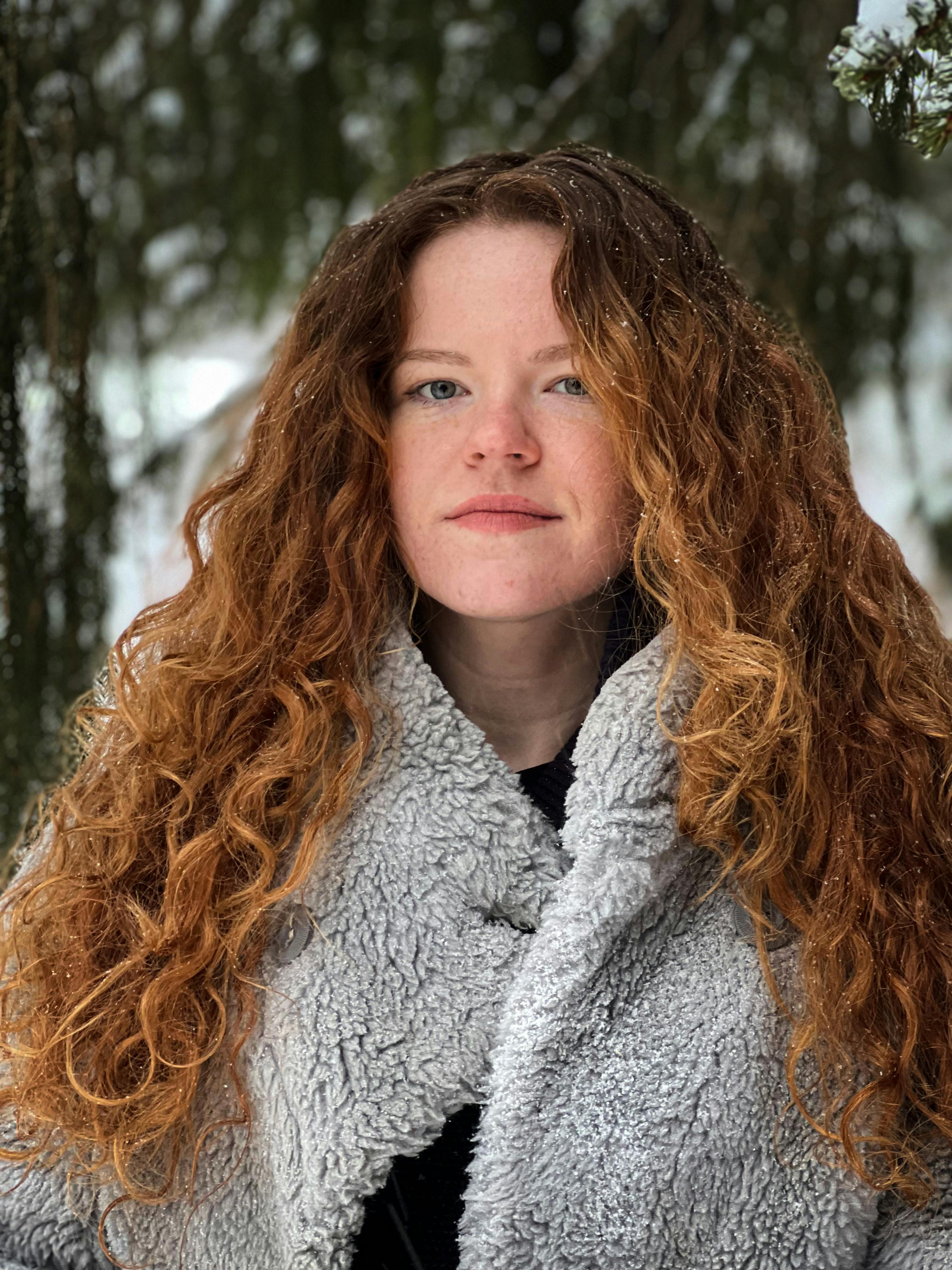 Gratuit Photos gratuites de accrocheur, arbres, beauté Photos