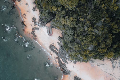 ada, ağaçlar, Araçlar içeren Ücretsiz stok fotoğraf