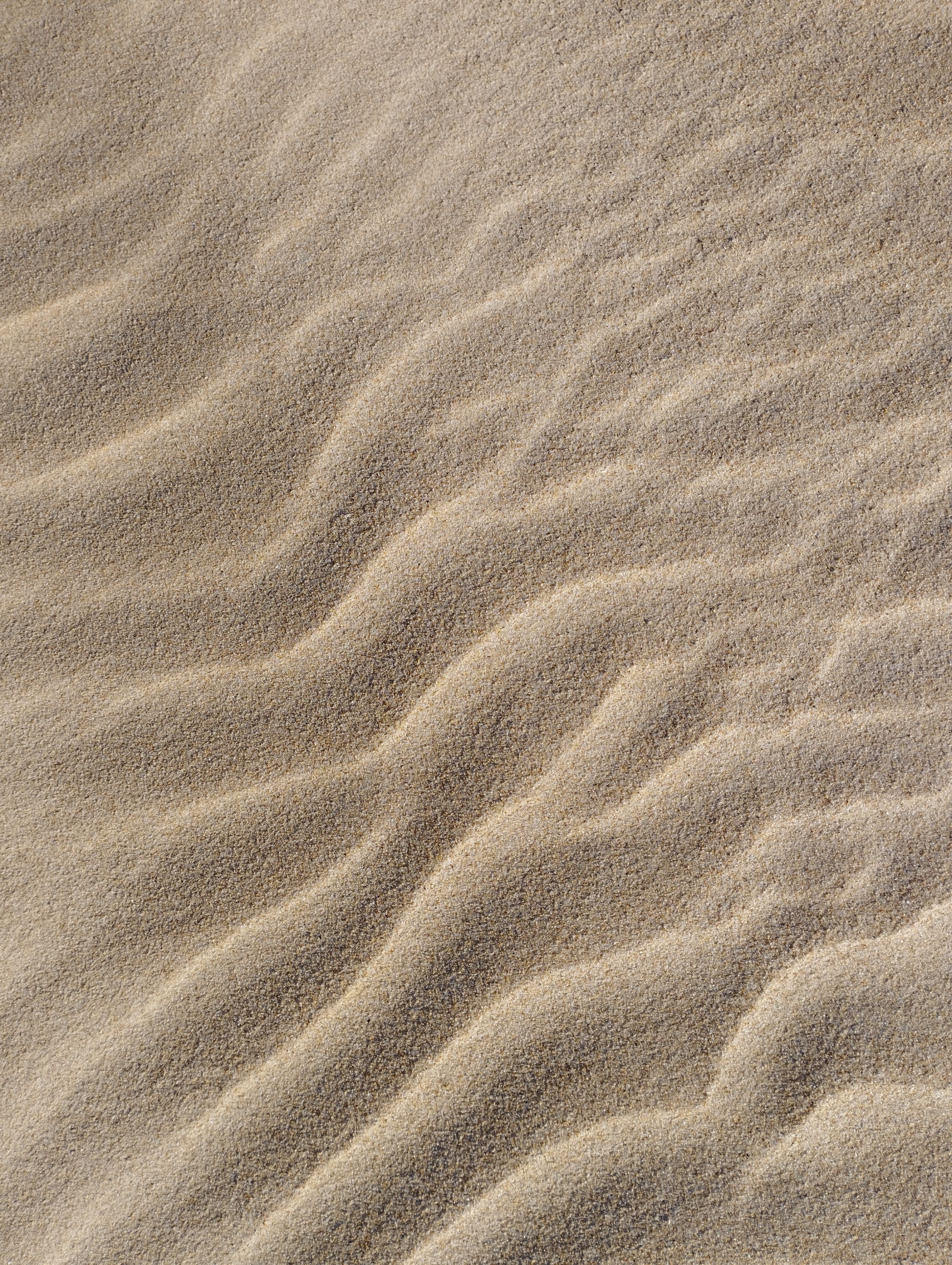 Shifting Winds Photos Download The Best Free Shifting Winds Stock