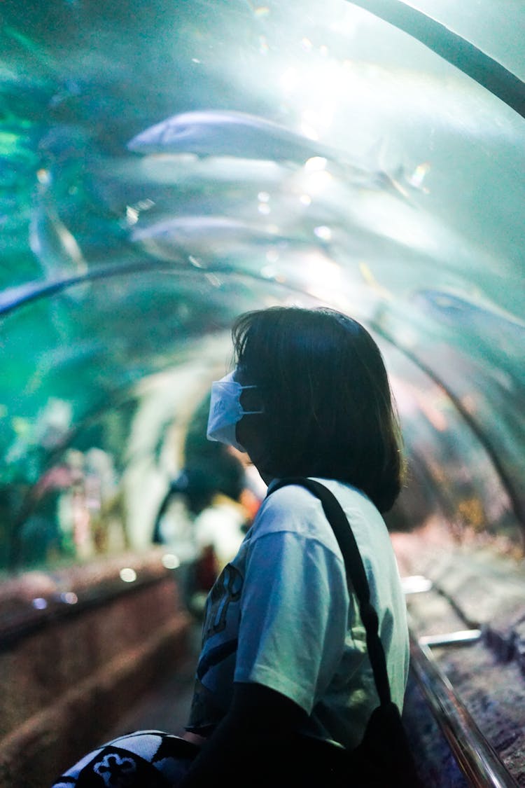 A Woman Under A Glass Aquarium