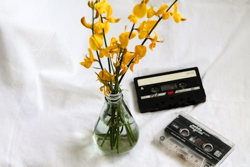 Still Life with Yellow Flower in a Glass Vase and Tape Cassettes on a White Cloth