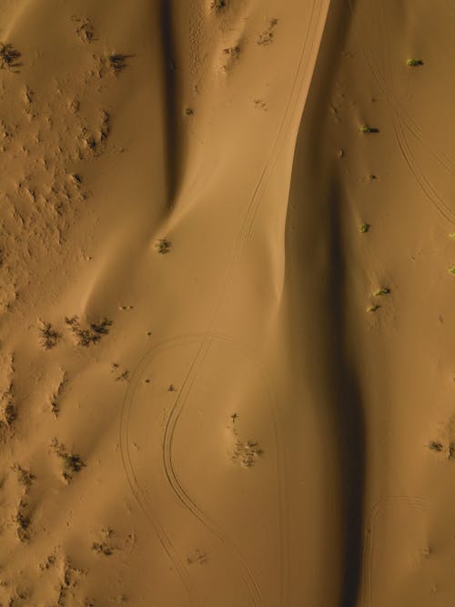 Free Smooth Sand Dunes in the Desert Stock Photo