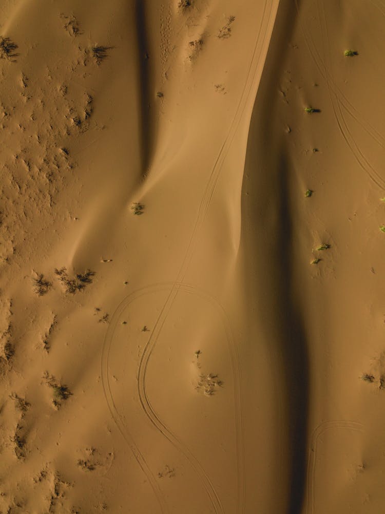 Smooth Sand Dunes In The Desert