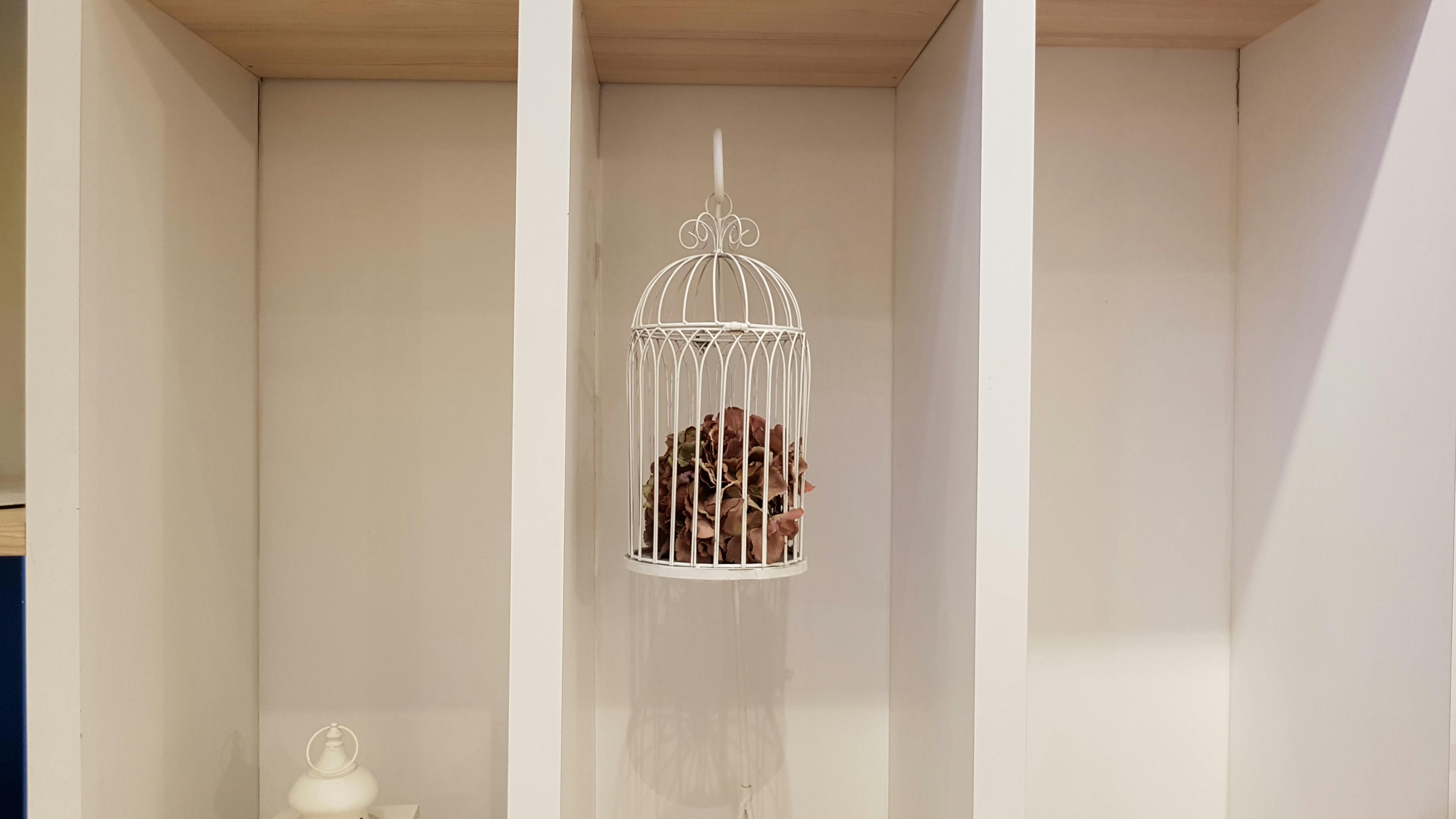 Free stock photo of bird cage