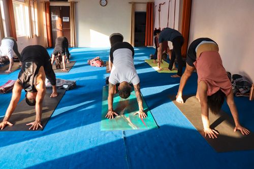 Free A group of adults practicing yoga in a sunlit studio in Rishikesh, India. Stock Photo