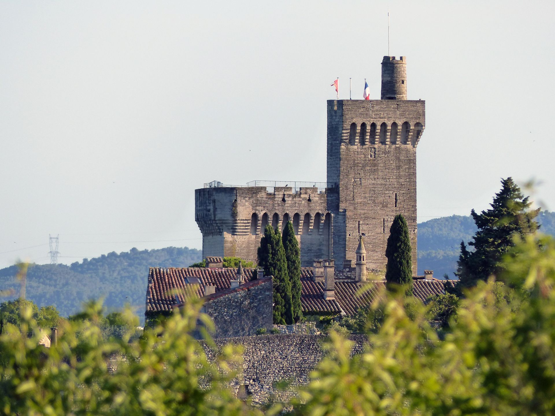 Historic Tour Philippe-le-Bel in Villeneuve-lès-Avignon, France surrounded by lush greenery.