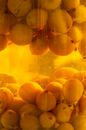 Larder Images