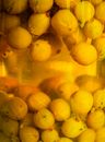 Larder Images
