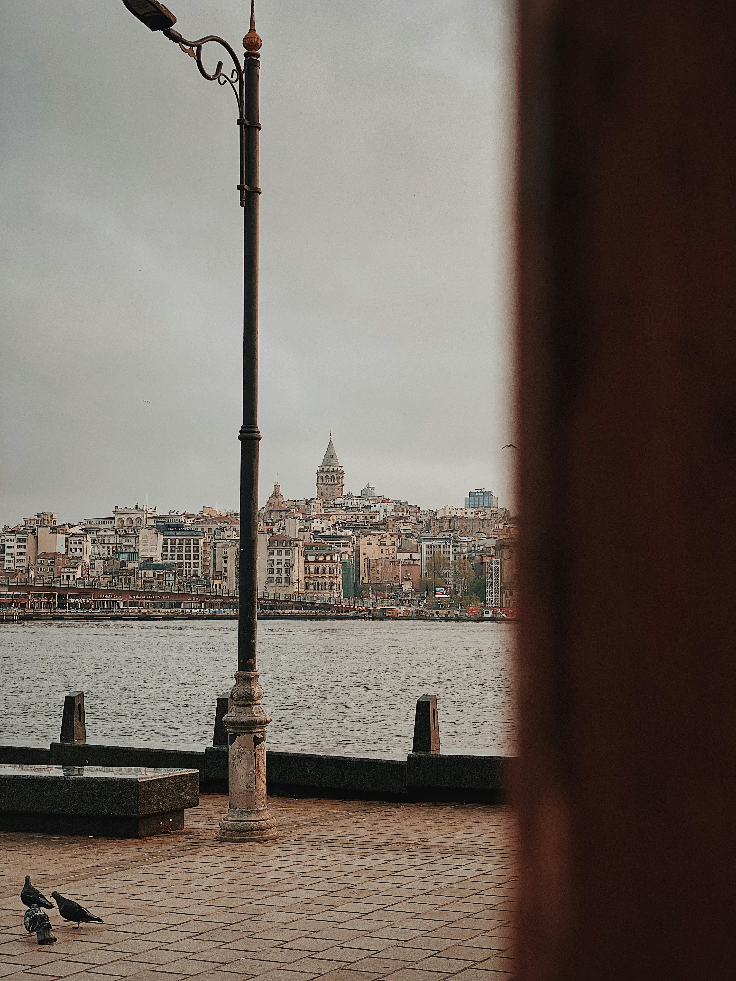 Is Canva or Publisher better?