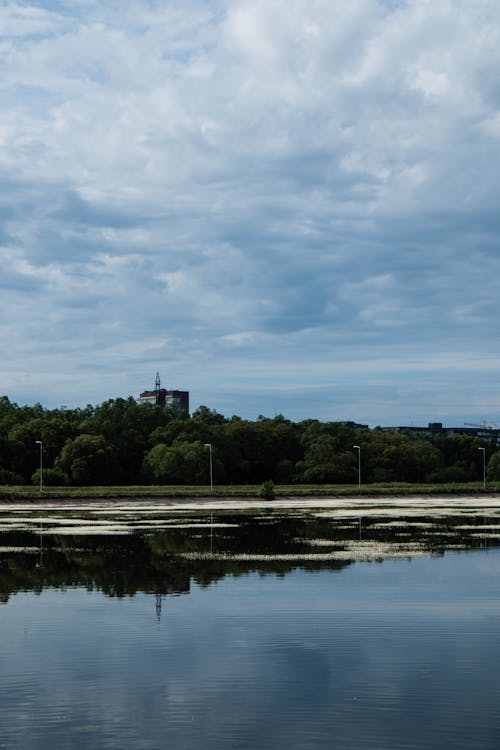 Gratis stockfoto met bomen, lantaarnpalen, meer