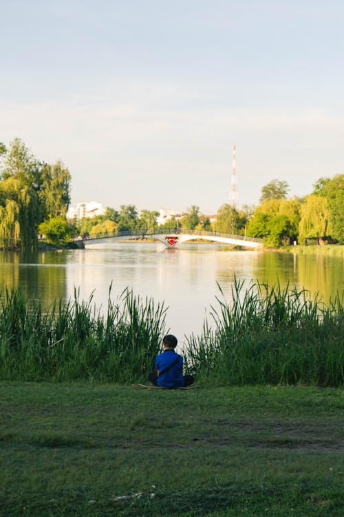 Kostenloses Stock Foto zu grünes gras, person, rückansicht