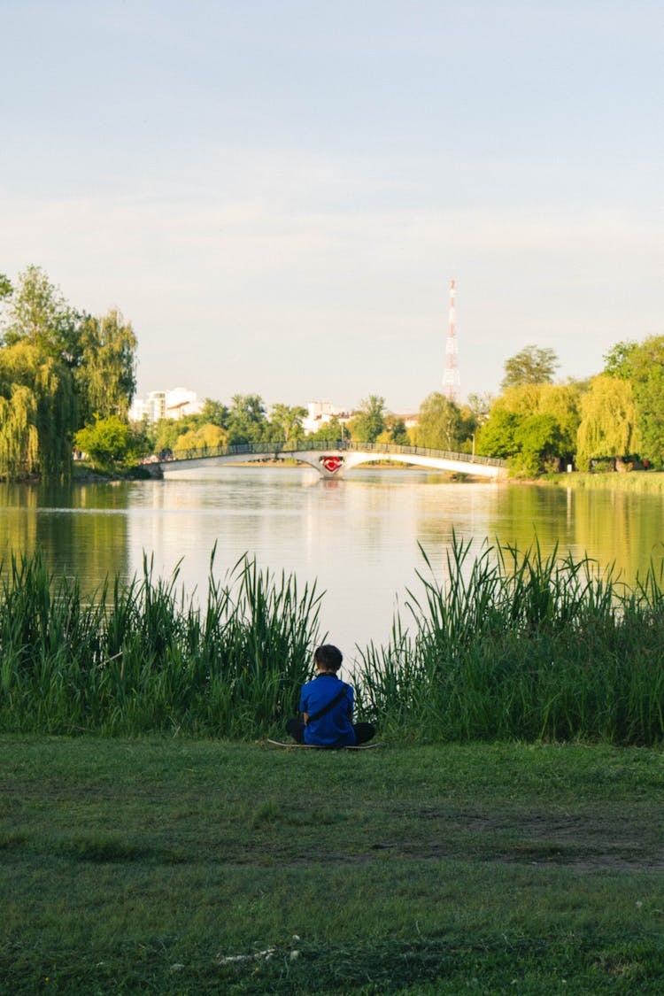 Back View Of A Person Sitting On Green Grass Near Lake