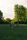 dog park