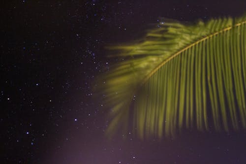 Photos gratuites de célébrités, la nuit, magnifique