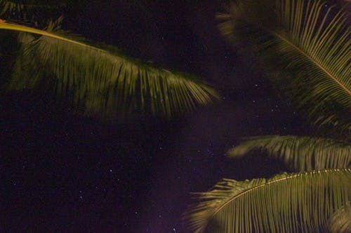 Безкоштовне стокове фото на тему «вночі, вродлива, зірки»