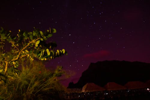 Безкоштовне стокове фото на тему «moorea, зірки, Острів»