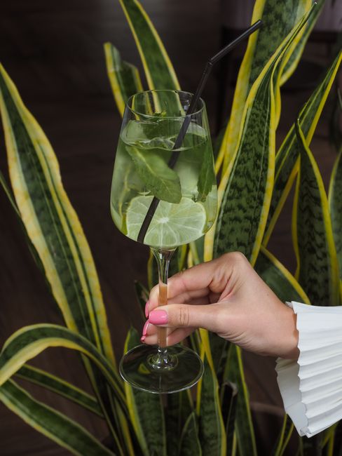 A tall wine glass filled with ice, pale greenish-gold Hugo Spritz, fresh mint sprigs, and a lime wheel, with prosecco bubbles visible against the glass.