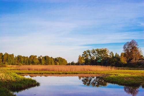 Kostenloses Stock Foto zu blauer himmel, gewässer, grasfläche