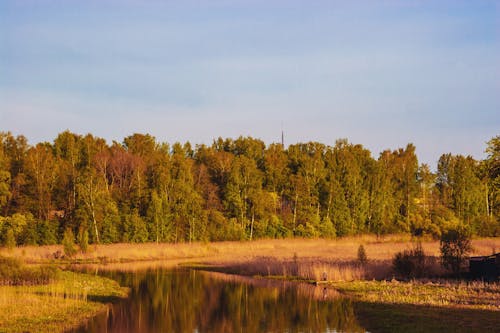 Kostnadsfri bild av flod, gräs, landsbygden