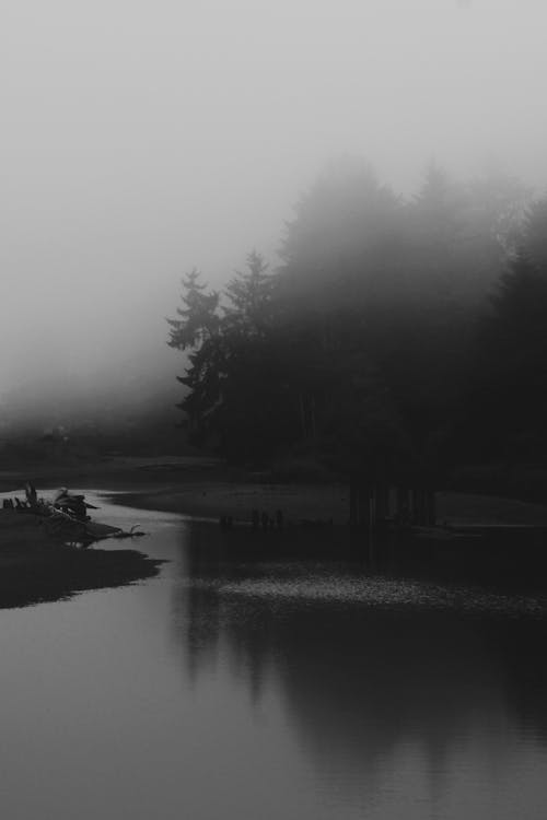 View of Fog above a Body of Water and Trees 