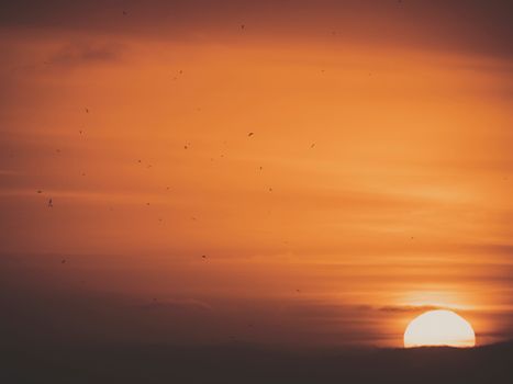 Dramatic sunset with birds silhouetted against an orange sky, creating a serene and peaceful scene.