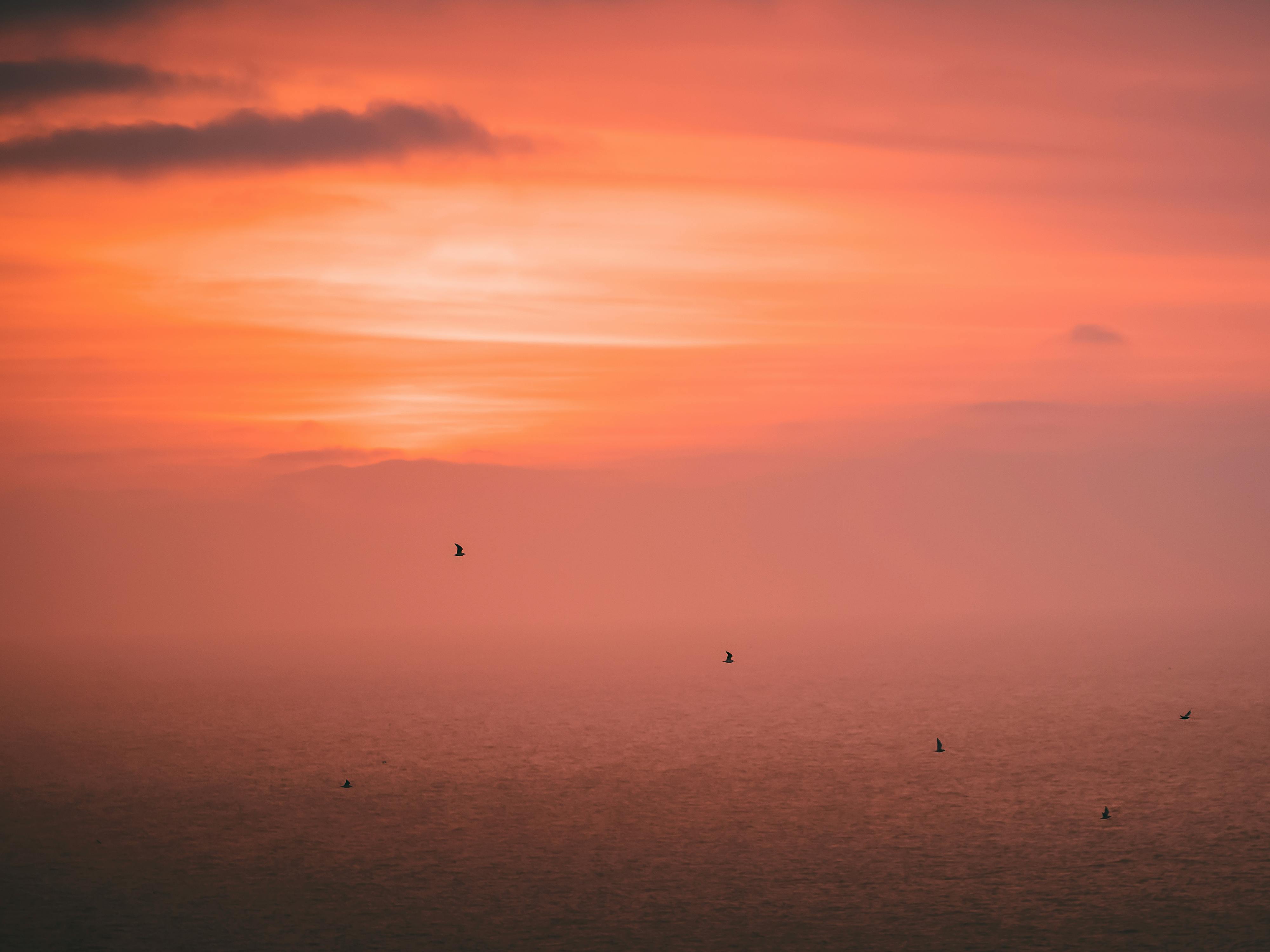 Serene ocean view at sunset with birds silhouetted against a dramatic sky.
