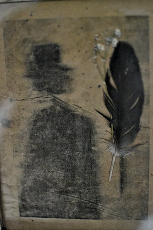 Black Feather on Brown Surface