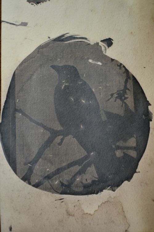 Free A vintage silhouette photo of a bird perched on a branch against a textured background. Stock Photo