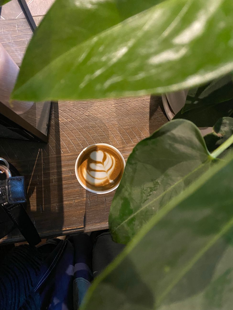 Top view of a ceramic cup with latte art amidst green foliage on a wooden table.