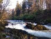 Free stock photo of flood, landscape, raging river