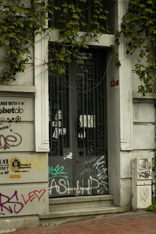 Free Graffiti-covered entrance in Istanbul surrounded by ivy, capturing urban street art. Stock Photo