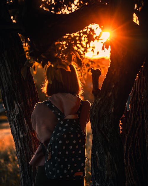 Free A Woman Standing Beside the Tree Stock Photo