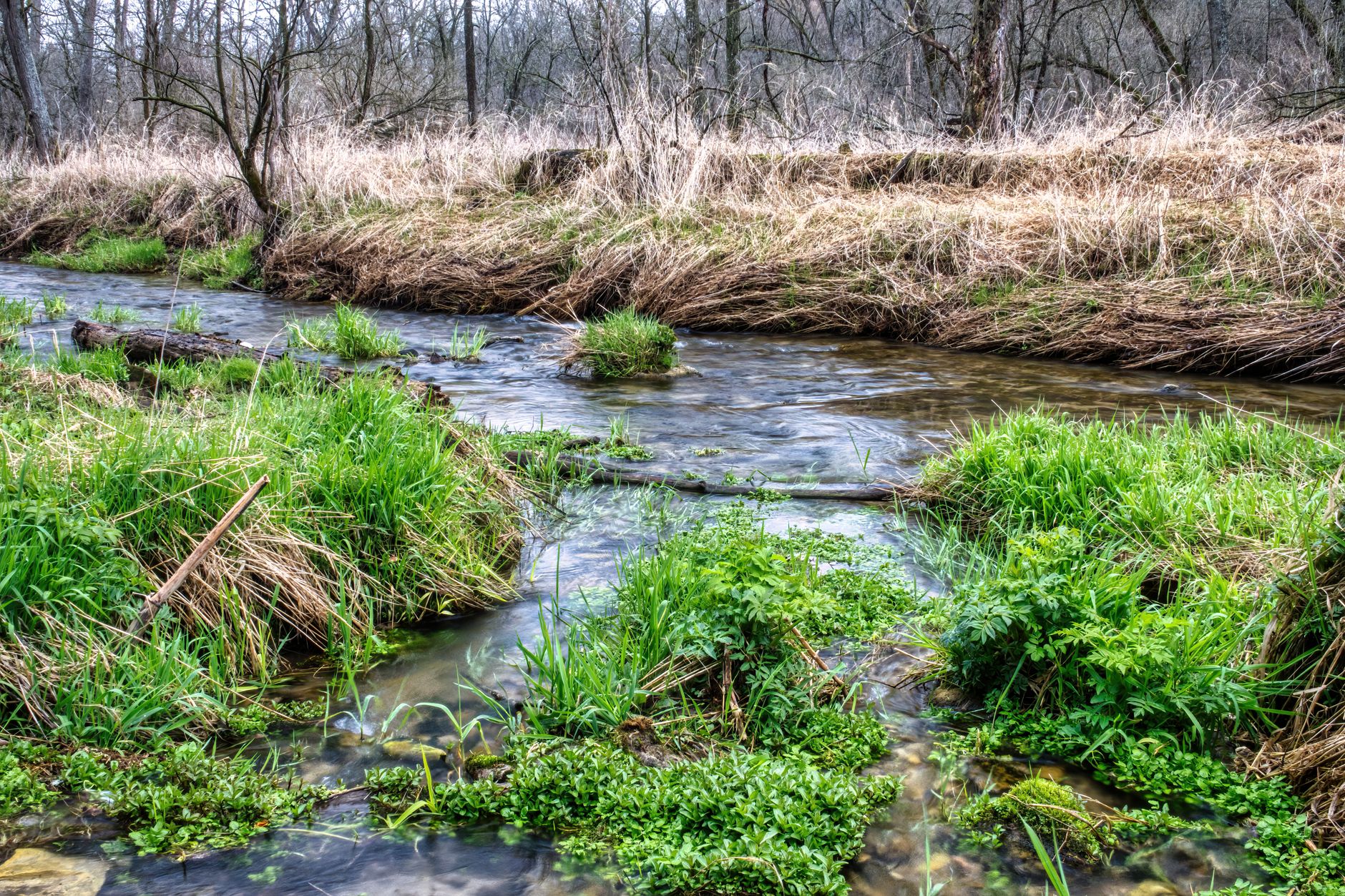 Explore the tranquil autumn scene of a stream surrounded by lush grass in Beaver, Minnesota.