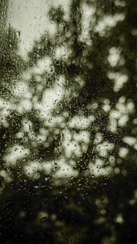 Rain droplets on a window create a textured view of tree foliage in Dehiwala, Sri Lanka.