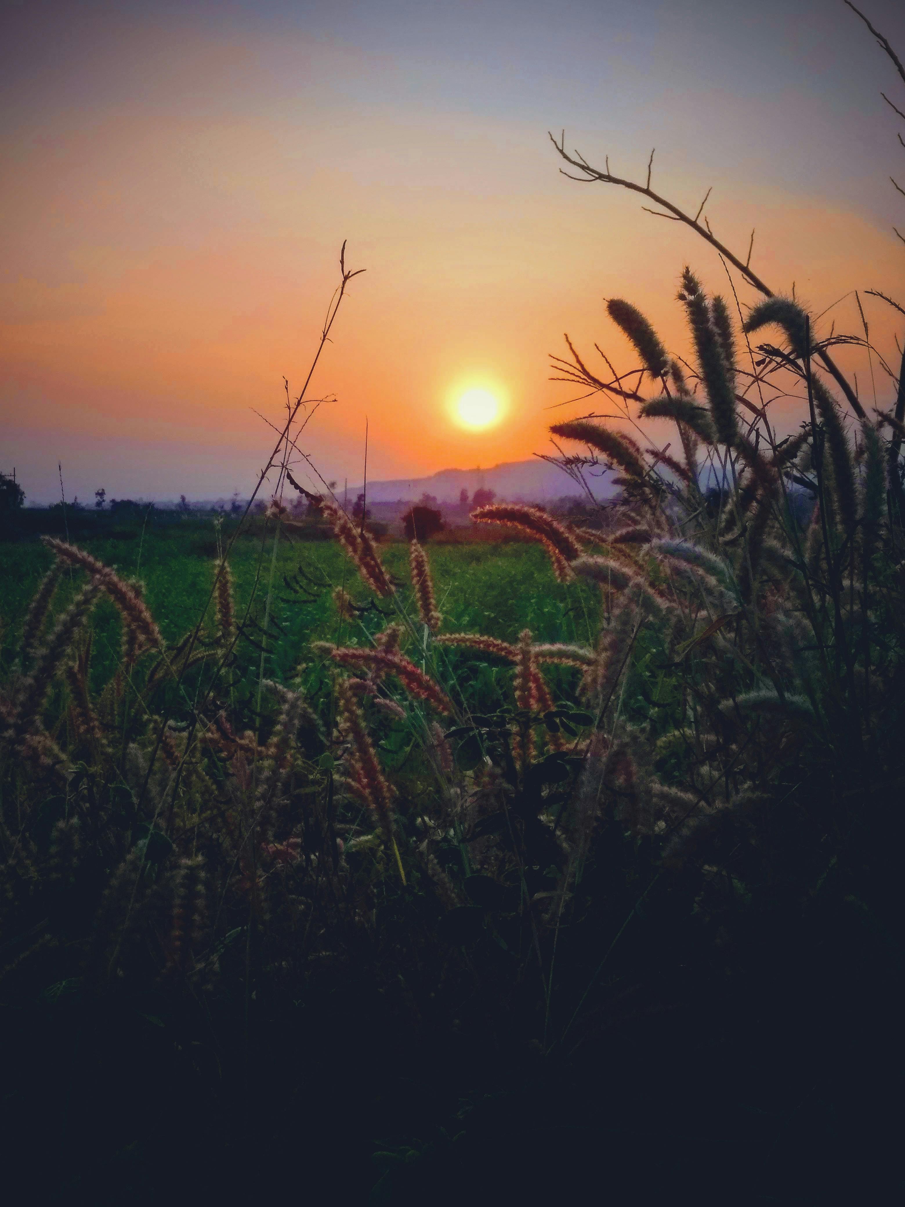 Prajyot Pradnyasagar 写真