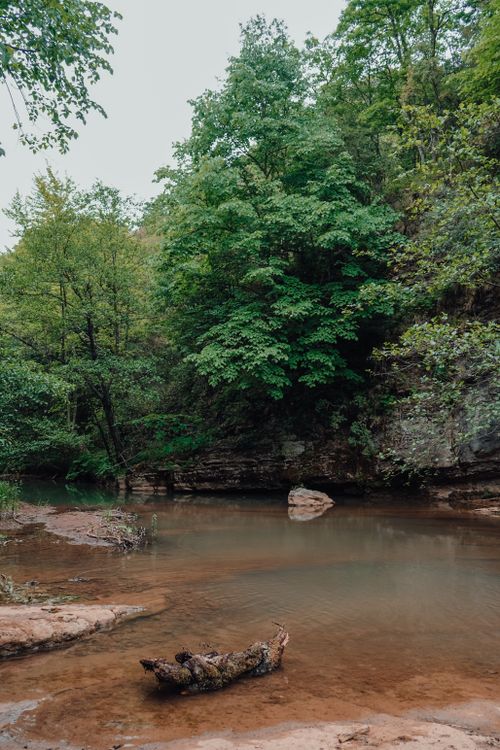 Free Scenic view of a calm river surrounded by dense green trees and rocky banks. Stock Photo