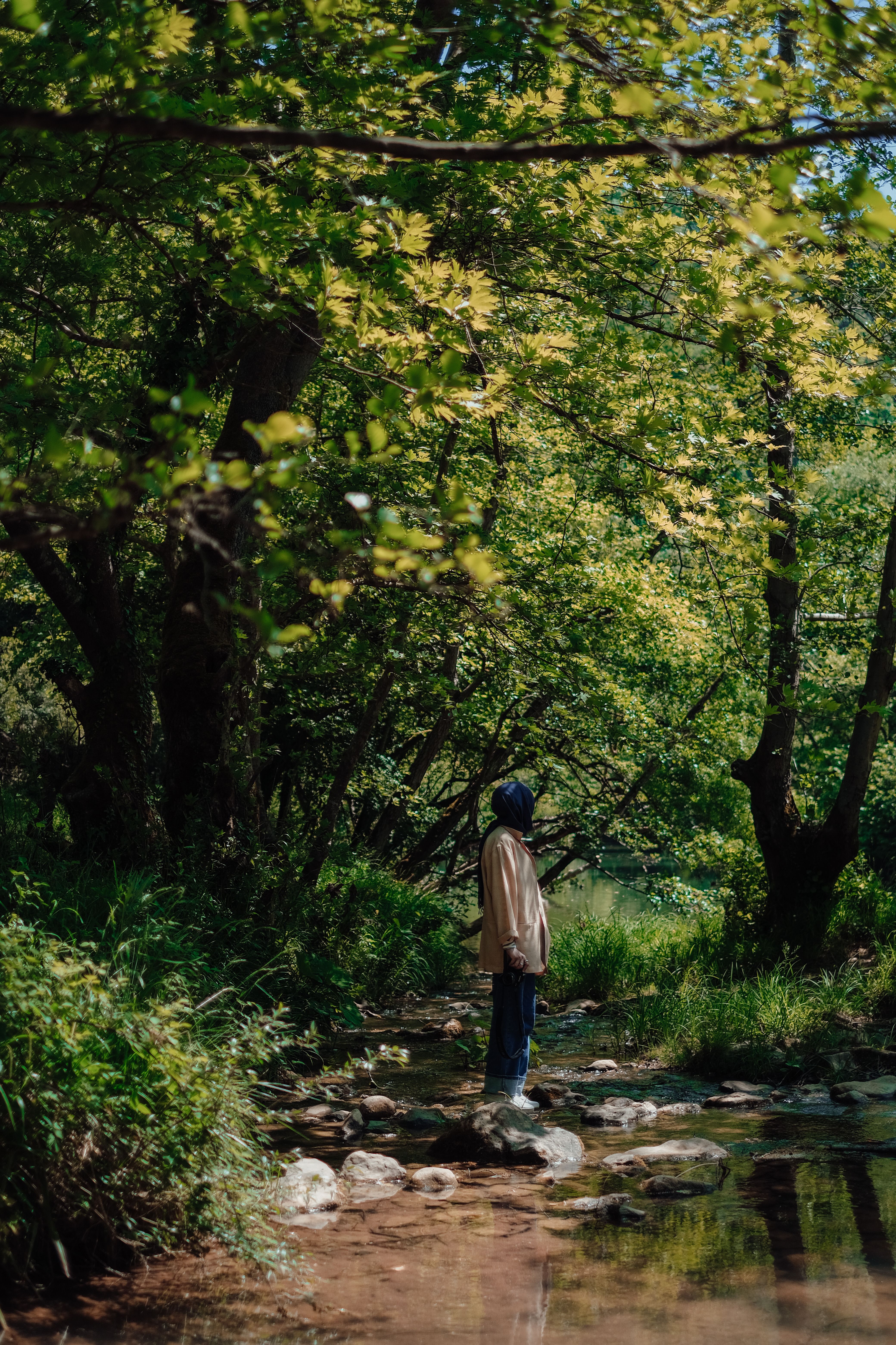 A person stands by a serene forest stream, surrounded by lush greenery and reflection.