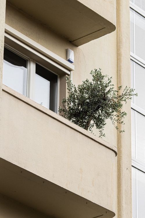 Free Low-angle view of a building facade showing balconies with a potted plant. Stock Photo