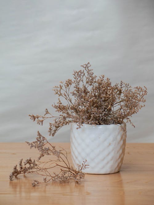 Darmowe zdjęcie z galerii z brązowy, ceramiczny wazon, drewniana powierzchnia