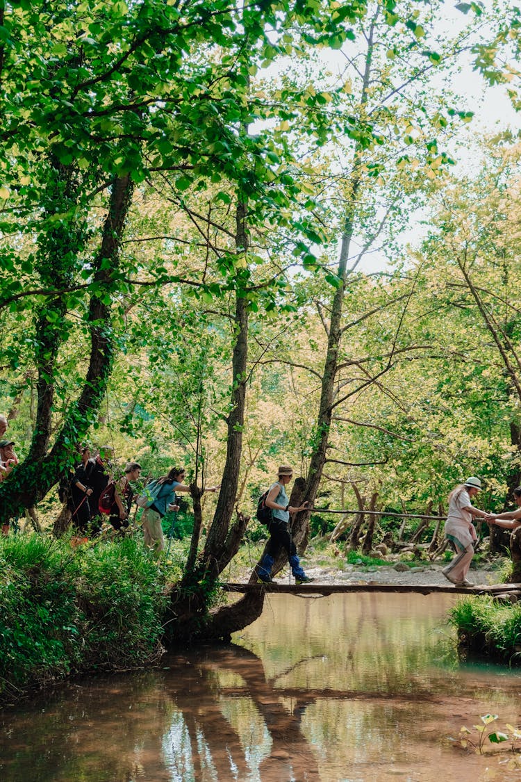 People Crossing A Wooden Bridge