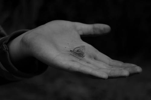 Grayscale Photo of Person Holding Insect