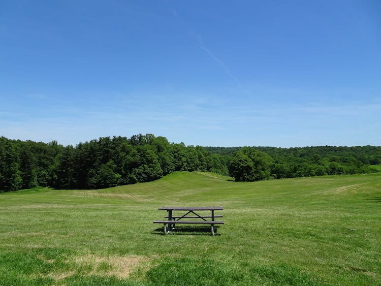 PIcnic Bench On Green Grass Field