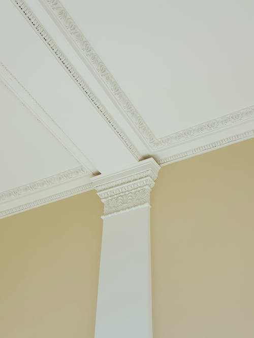 White Ceiling with Moldings