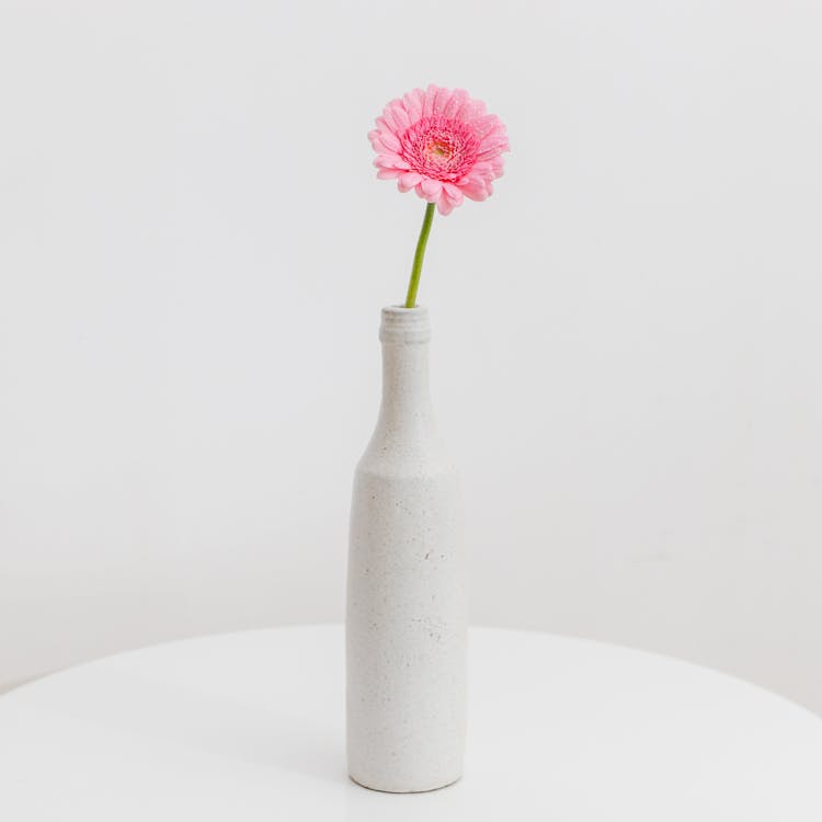Studio Shot Of A Pink Flower In A White Bottle