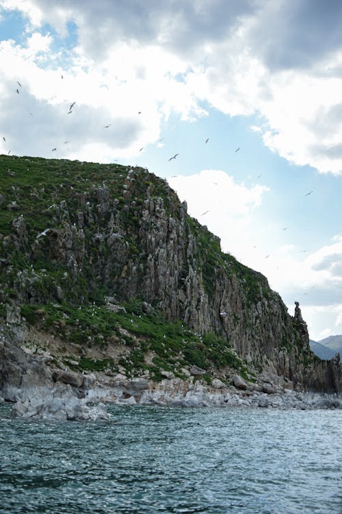 Birds Flying over the Sea Near Rock Formation