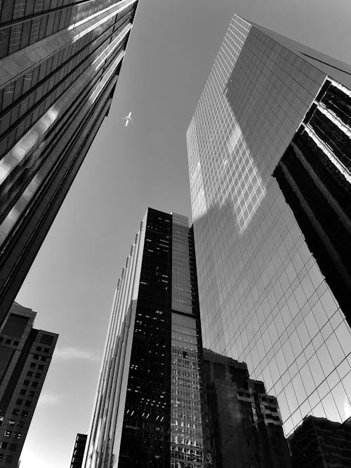 Free Grayscale Photo of High-rise Buildings Stock Photo