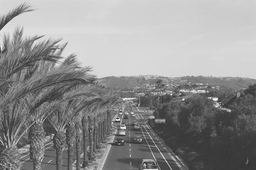 Grayscale Photo of Vehicles on Road
