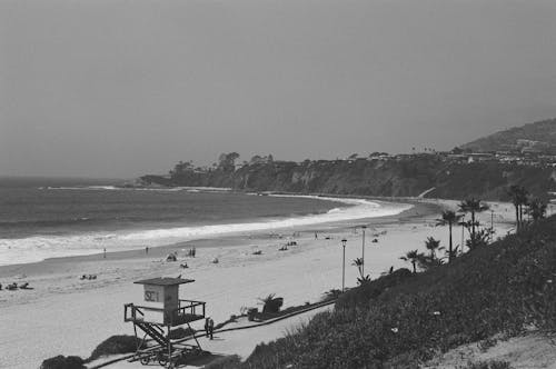 Grayscale Photo of People on the Beach