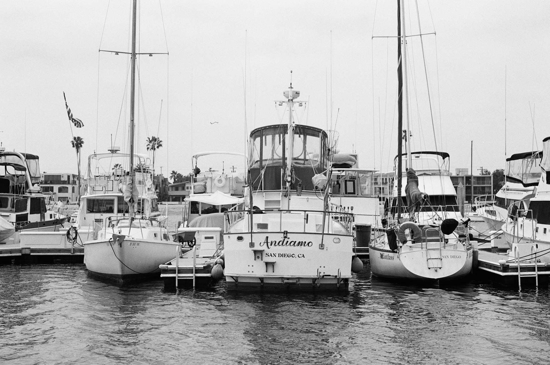 Monochrome photo of yachts docked in San Diego Harbor, illustrating a calm maritime scene.